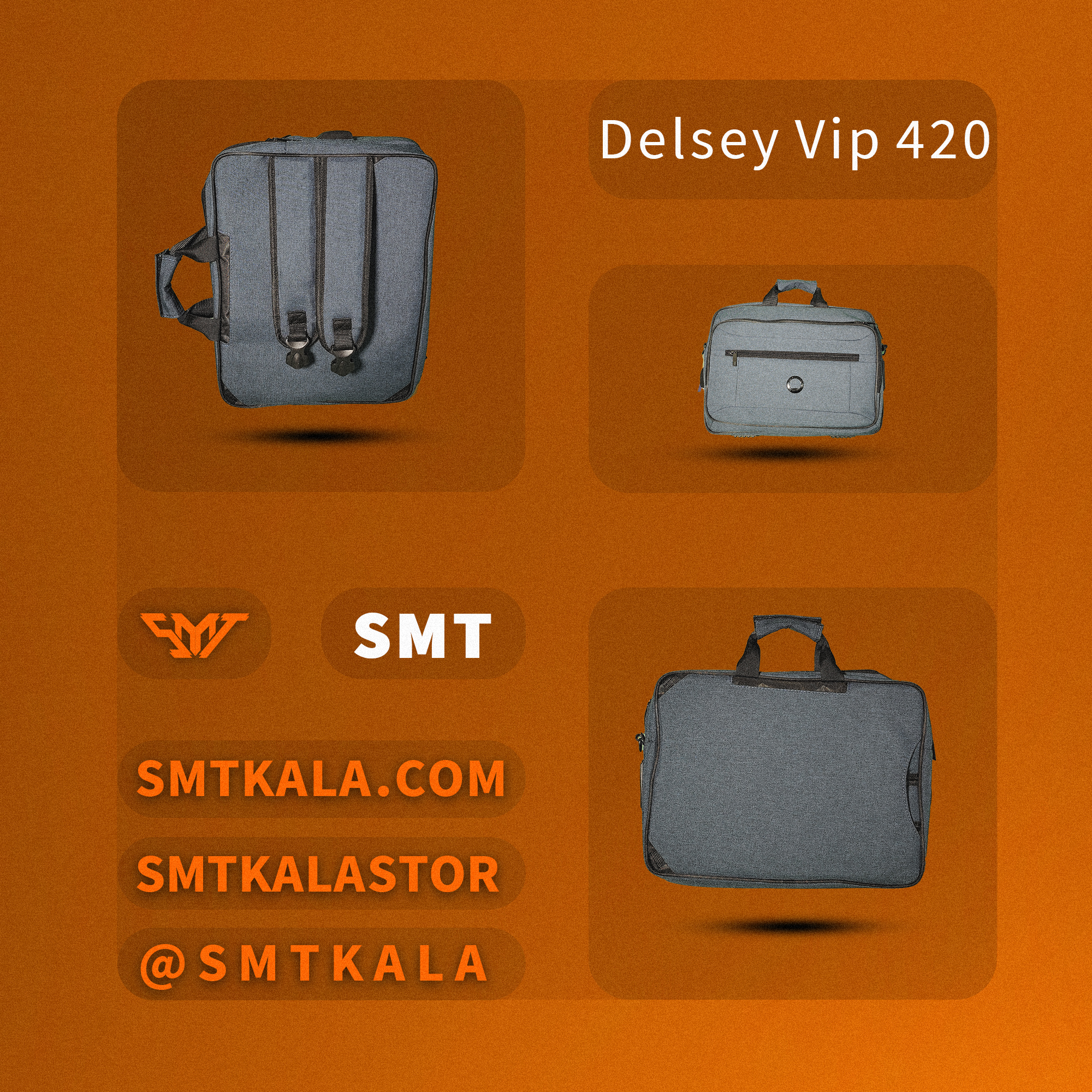 Delsey Vip 420 ِVip-420 قیمت و خرید کیف کوله ای Delsey Paris مدل - تصویر 1